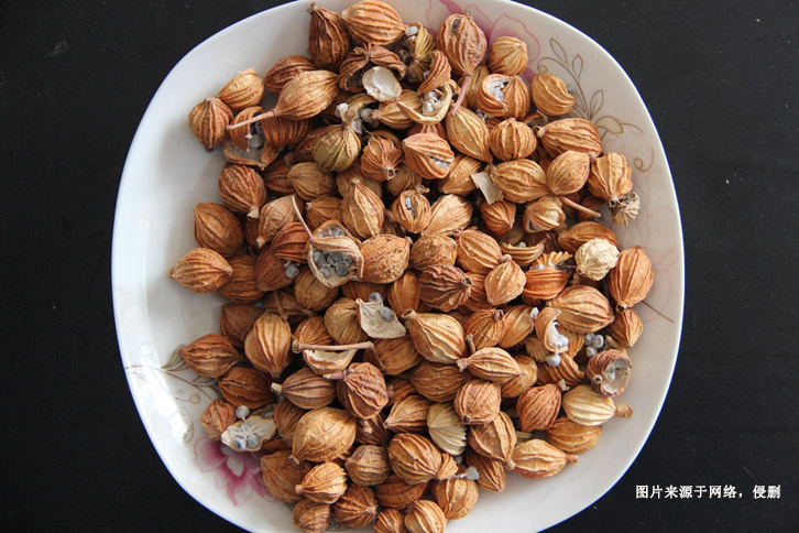 進(jìn)口澳大利亞豆蔻報(bào)關(guān)資料
