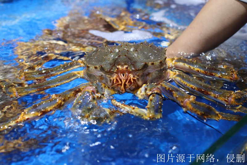 進口菲律賓海鮮清關(guān)費用怎么算_青島進口海鮮報關(guān)